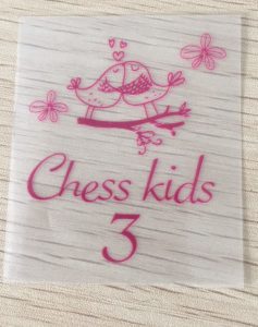 Tagless heat transfer clothing labels